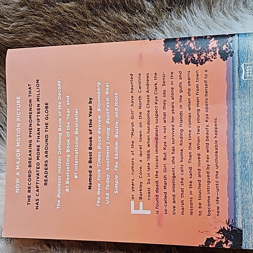 Book - Picture 4 of 6